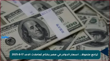 تراجع ملحوظ.. أسعار الدولار في مصر بختام تعاملات الأحد 17-8-2025